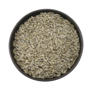 Sunflower Seed