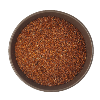 Quinoa Seed Red